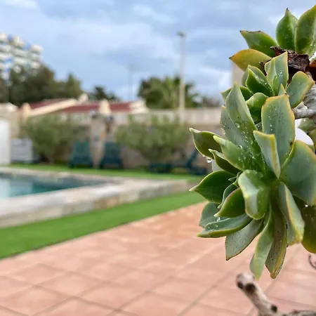 In Roquetas With Garden And Private Pool * Roquetas de Mar